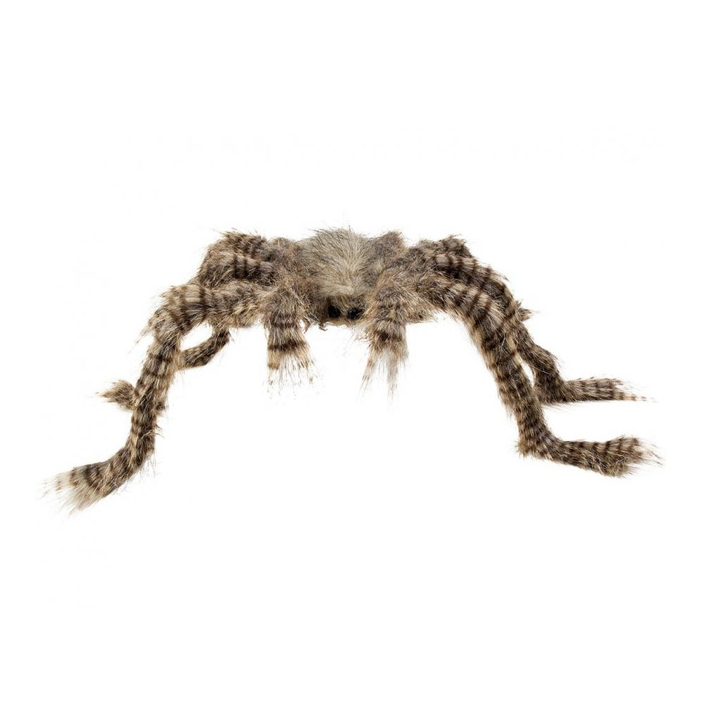 Pavúk hnedý 70 cm