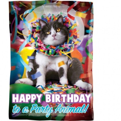 Fóliový balón Happy birthday Mačka