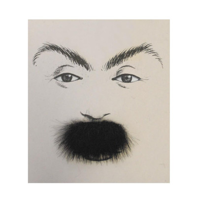 Fúzy Charlie Chaplin