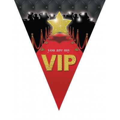 Vlajkový baner VIP párty